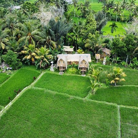 Kawig Bamboo House - Ricefield View, Eco Bamboo Home Tampaksiring Exterior foto