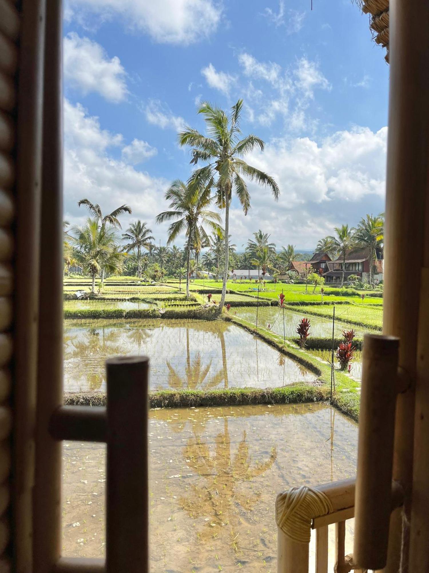 Kawig Bamboo House - Ricefield View, Eco Bamboo Home Tampaksiring Exterior foto