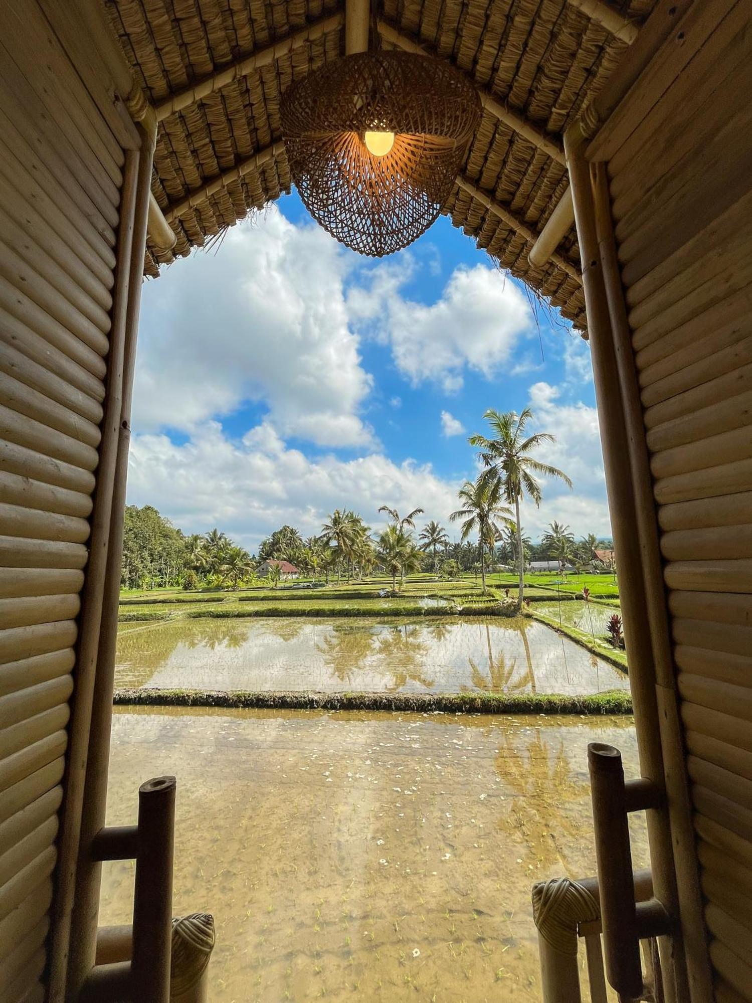 Kawig Bamboo House - Ricefield View, Eco Bamboo Home Tampaksiring Exterior foto