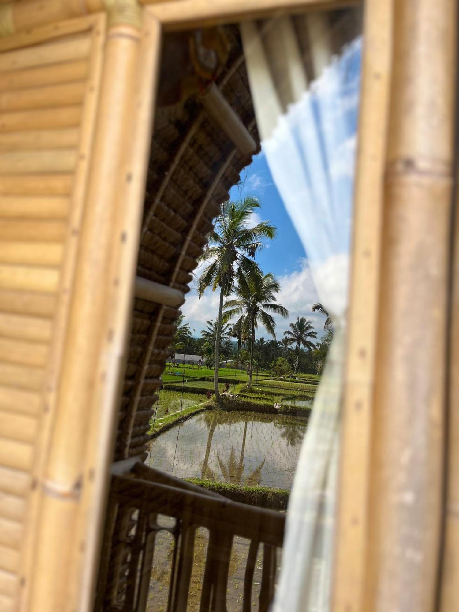 Kawig Bamboo House - Ricefield View, Eco Bamboo Home Tampaksiring Exterior foto