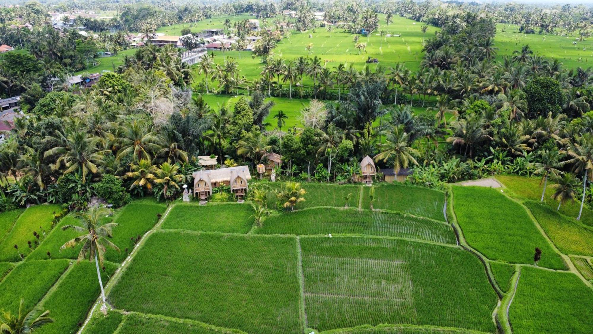 Kawig Bamboo House - Ricefield View, Eco Bamboo Home Tampaksiring Exterior foto