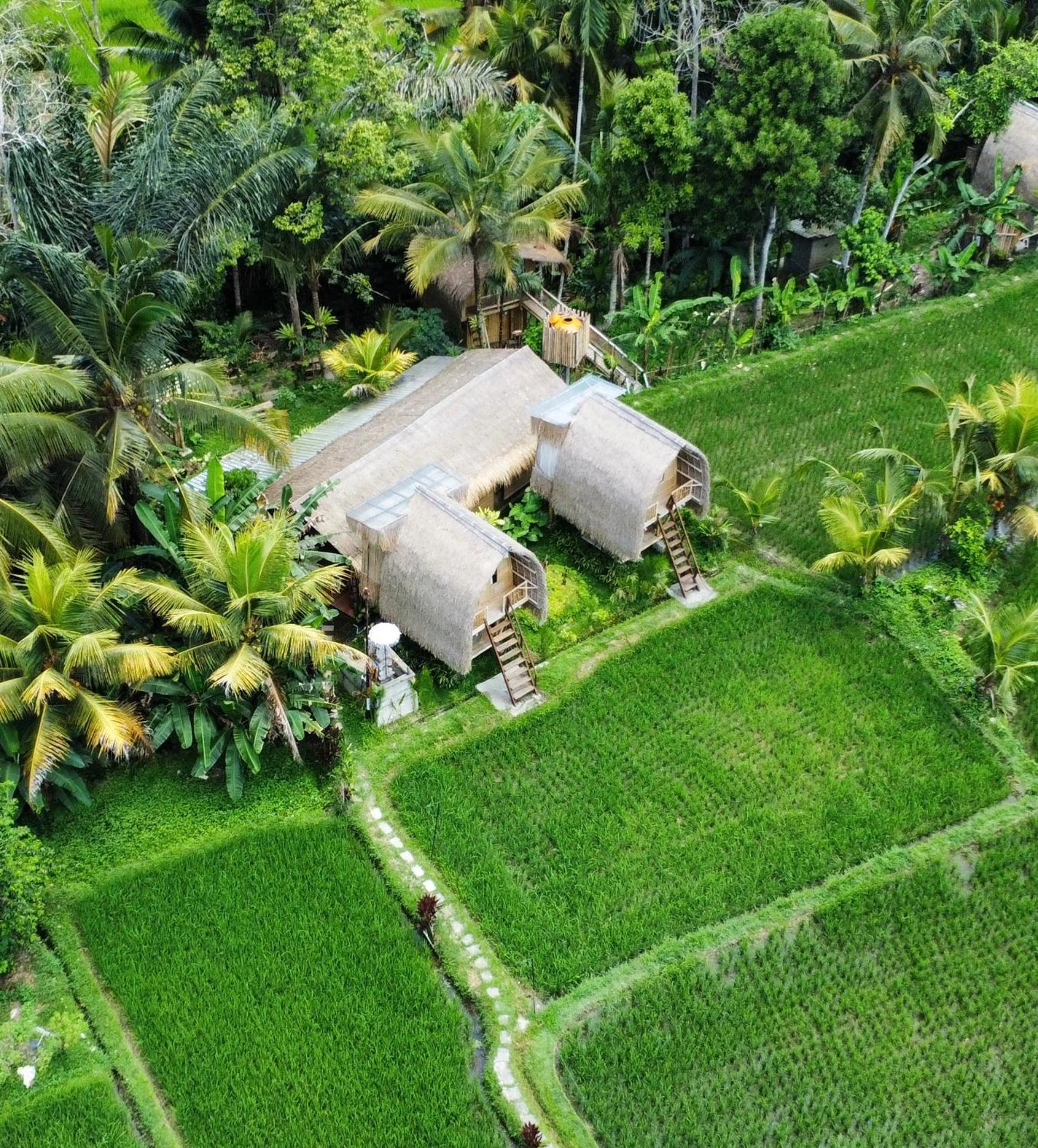 Kawig Bamboo House - Ricefield View, Eco Bamboo Home Tampaksiring Exterior foto